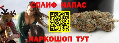 метадон Новодвинск