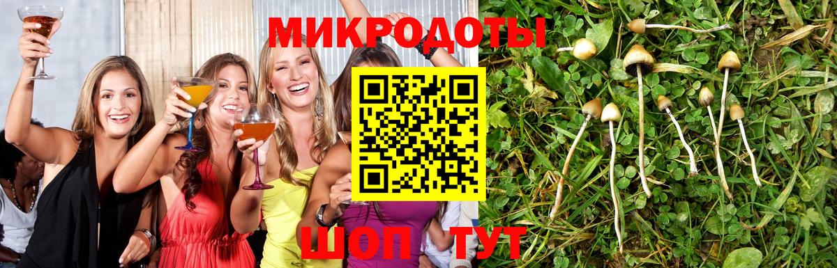 Псилоцибиновые грибы Psilocybine cubensis Усолье-Сибирское